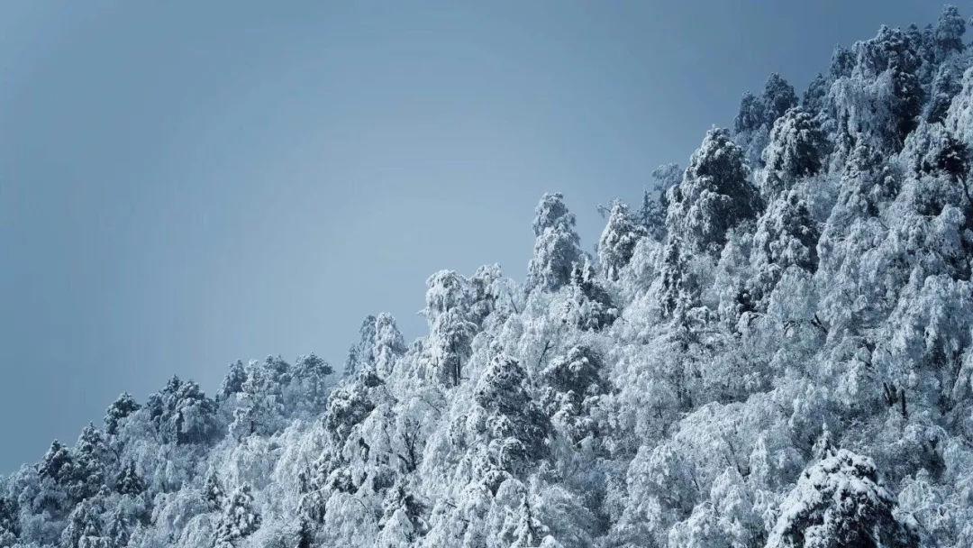 多地限制教师非正常流动，杭州年底前将对西部山区教师出政策